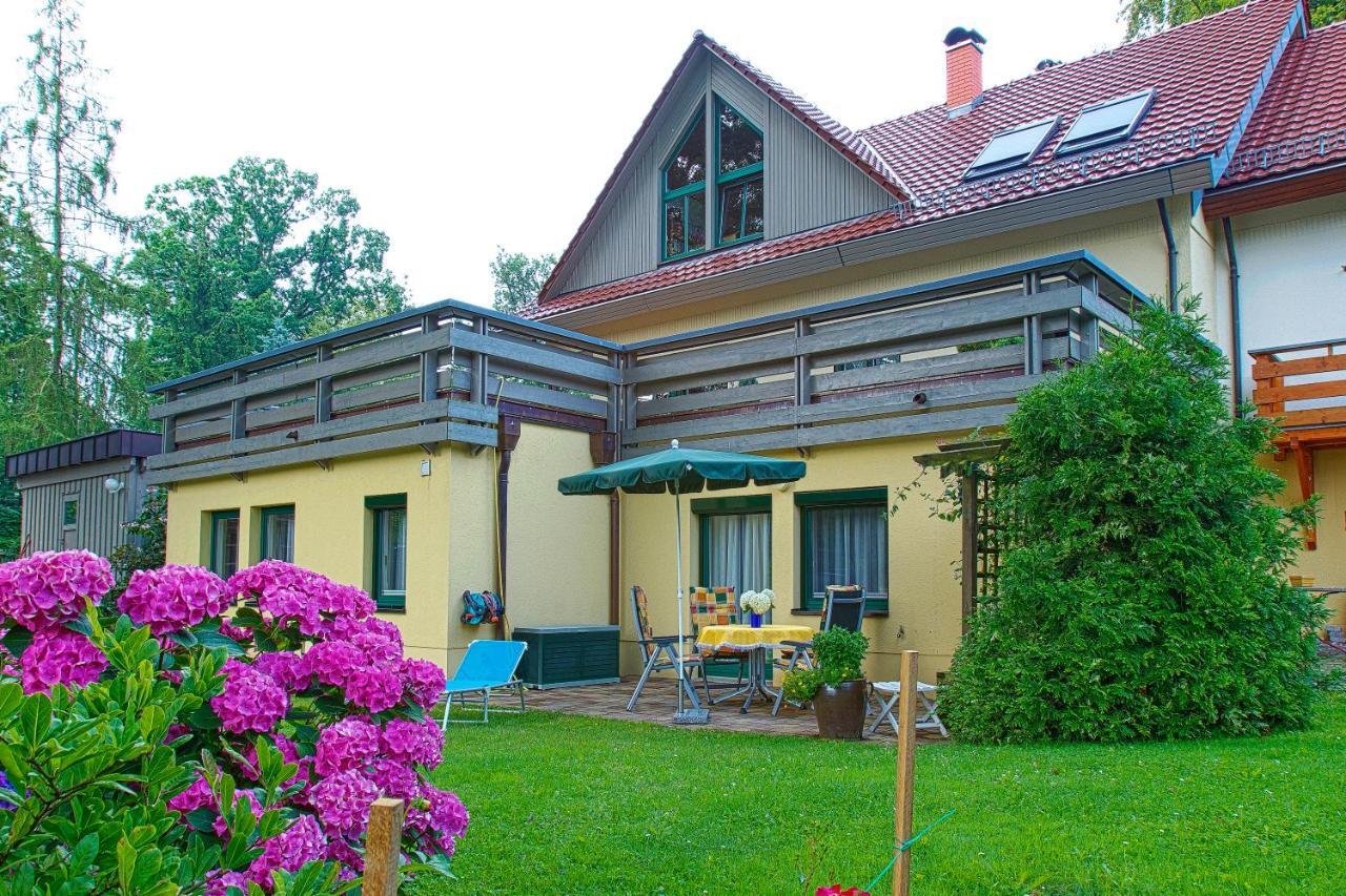 Ferienwohnung Oberloschwitz Dresden Exterior foto